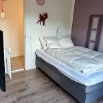 Modern Spacious Family Retreat Garden Odense
