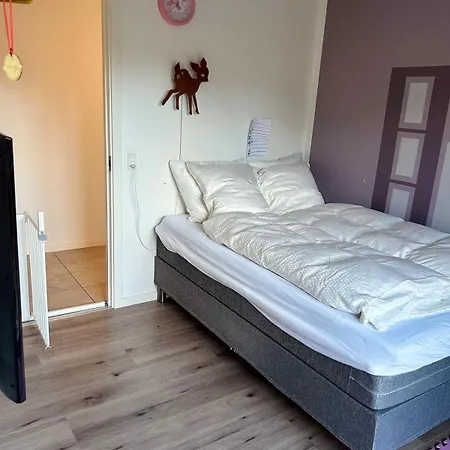 Modern Spacious Family Retreat Garden Οντένσε