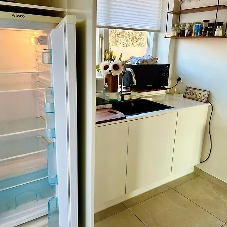 Modern Spacious Family Retreat Garden Odense