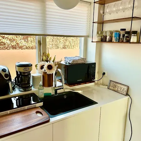 Modern Spacious Family Retreat Garden