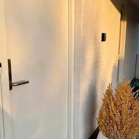 Modern Spacious Family Retreat Garden Villa Odense