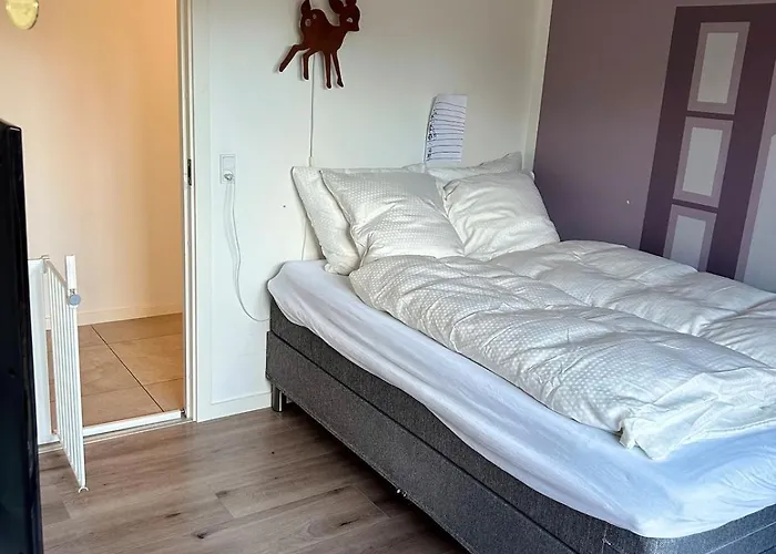 Modern Spacious Family Retreat Garden Odense