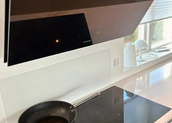 Modern Spacious Family Retreat Garden