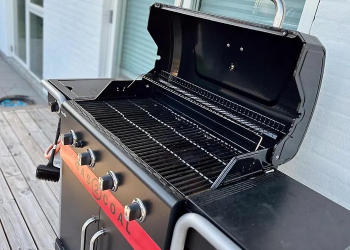 Modern Spacious Family Retreat Garden Odense