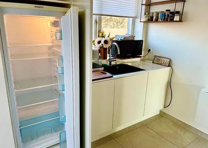 Modern Spacious Family Retreat Garden Odense