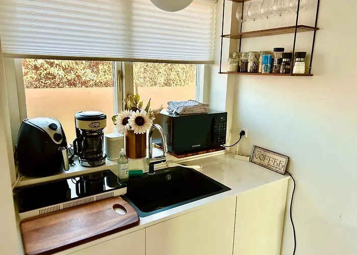 Modern Spacious Family Retreat Garden