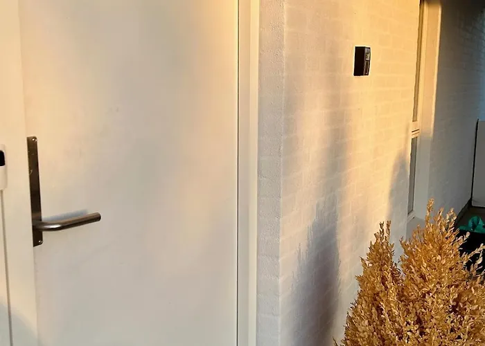 Modern Spacious Family Retreat Garden Villa Odense