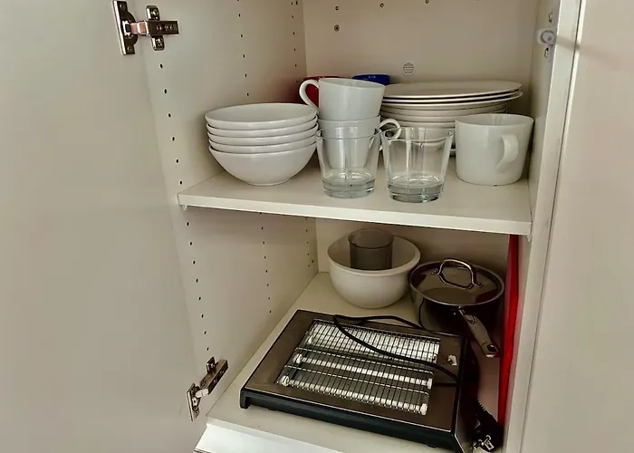 Modern Spacious Family Retreat Garden